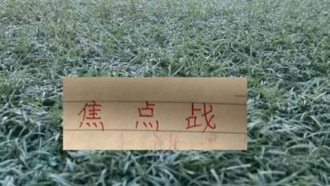 河内水牛与芹且鲶鱼：数据对决终极分析
